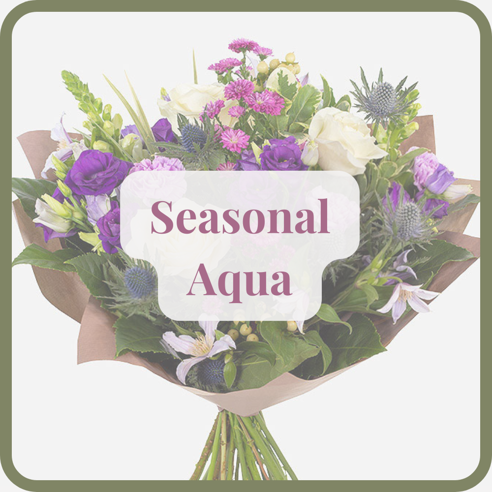 Seasonal Aqua