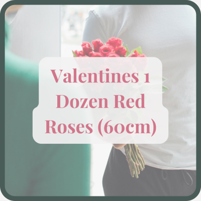 Valentines 1 Dozen Red Roses (60cm) - valentines dozen red roses 60cm