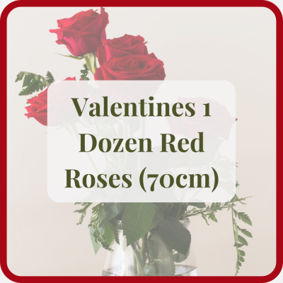 Valentines 1 Dozen Red Roses (70cm) - Valentines 1 dozen red roses 70cm