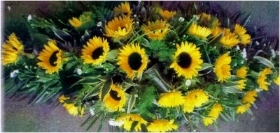 Sunflower (seasonal)